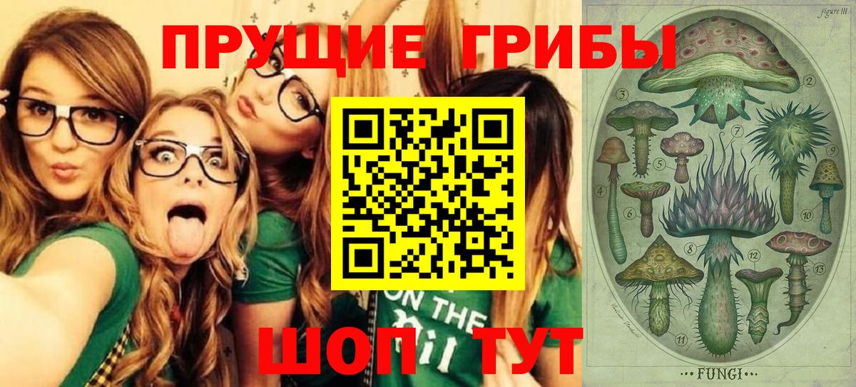 Псилоцибиновые грибы прущие грибы Нижний Новгород