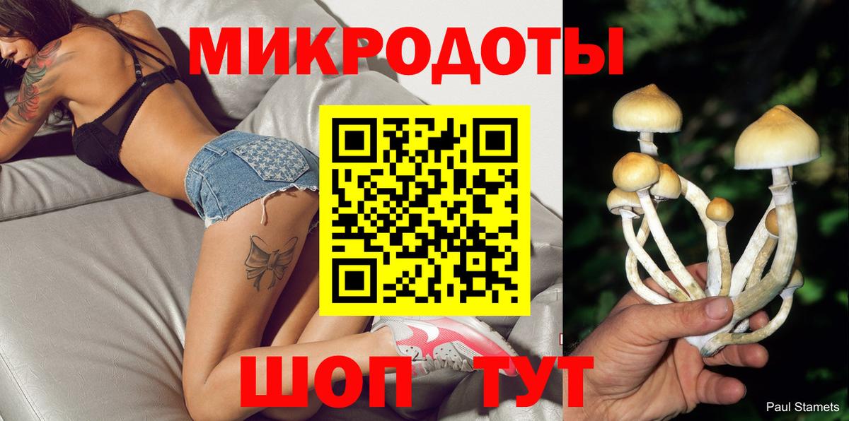Галлюциногенные грибы Magic Shrooms  Галлюциногенные грибы прущие грибы  Нижний Новгород  Вход с VPN 